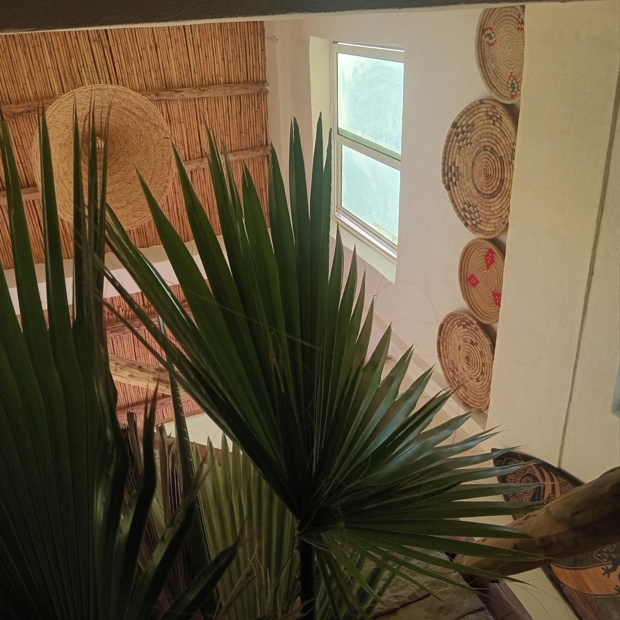 Moroccan Boho Surf House Agadir Exteriör bild